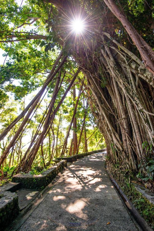 Palau Carolines Resort Koror Eksteriør billede